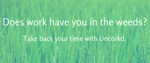 Uncorkd Product Page