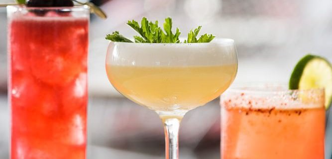Image of Culinary and Vegetable Cocktails